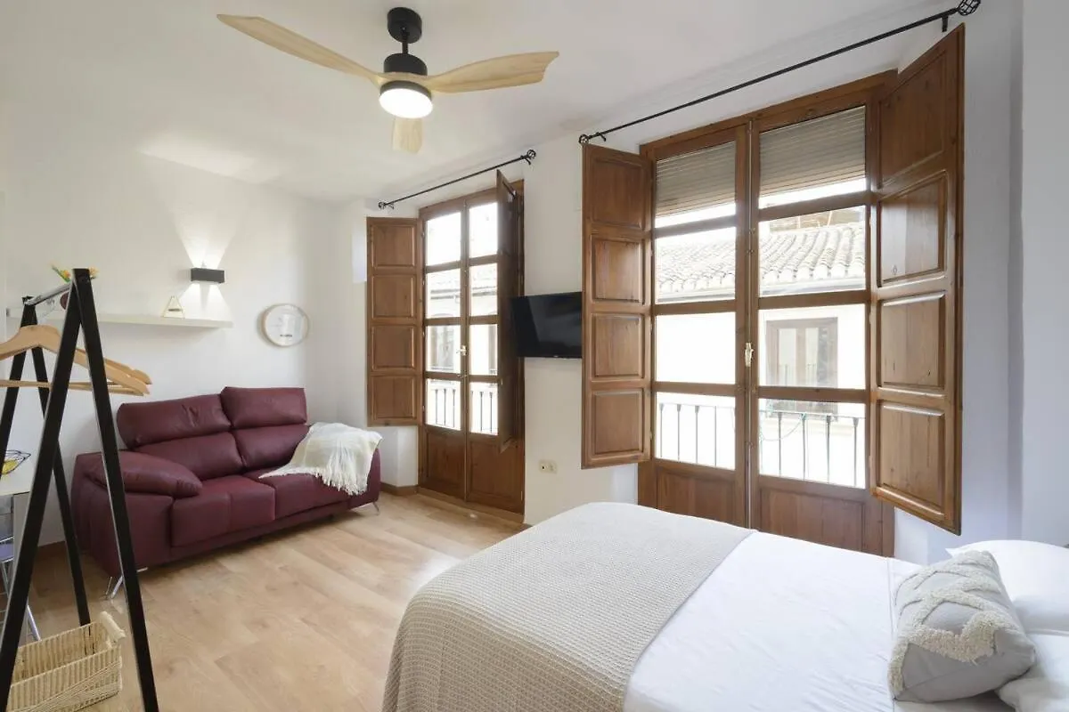 Apartamento Granada Catedral